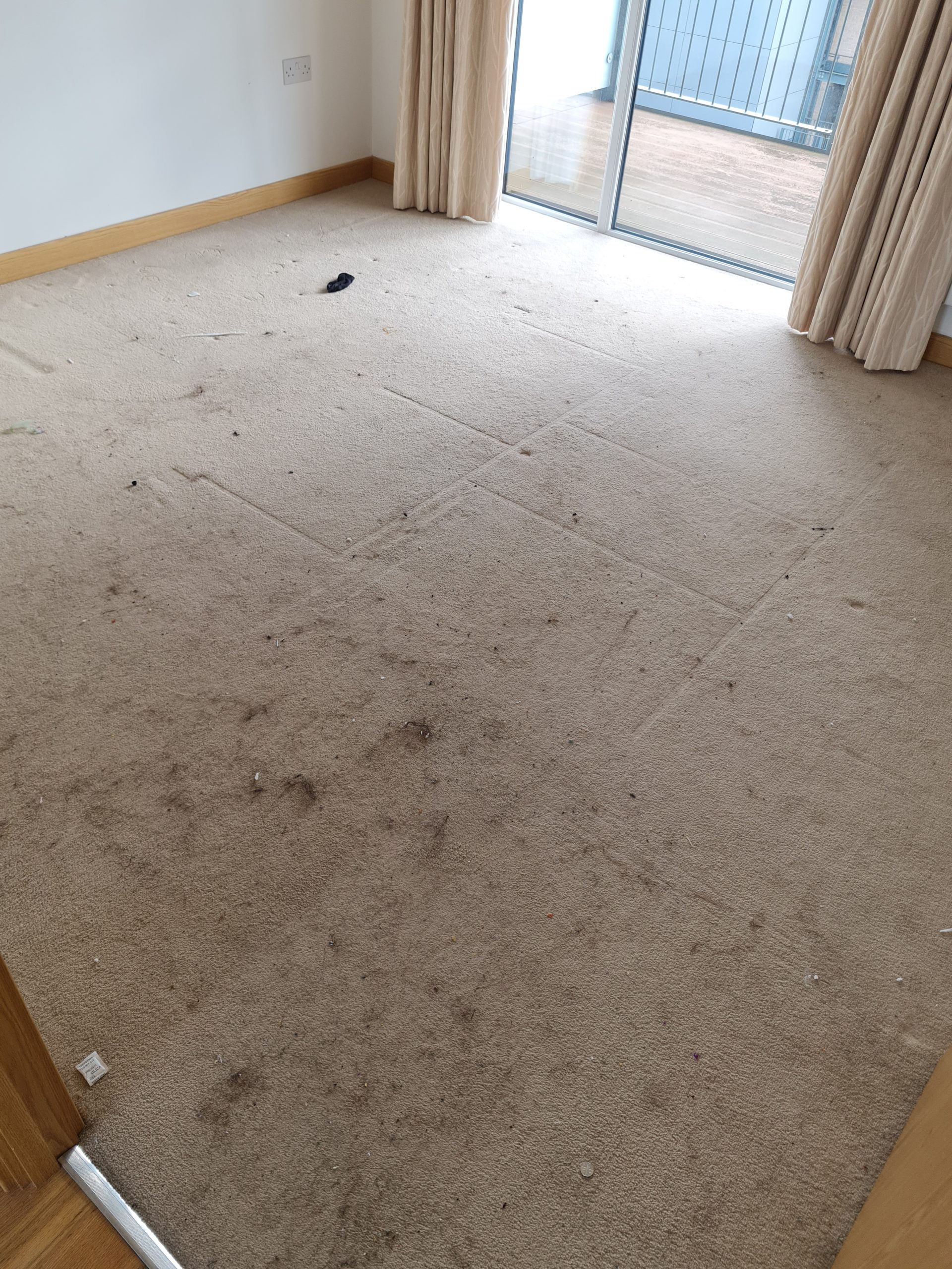 lounge carpet before cleaning in Norwich house