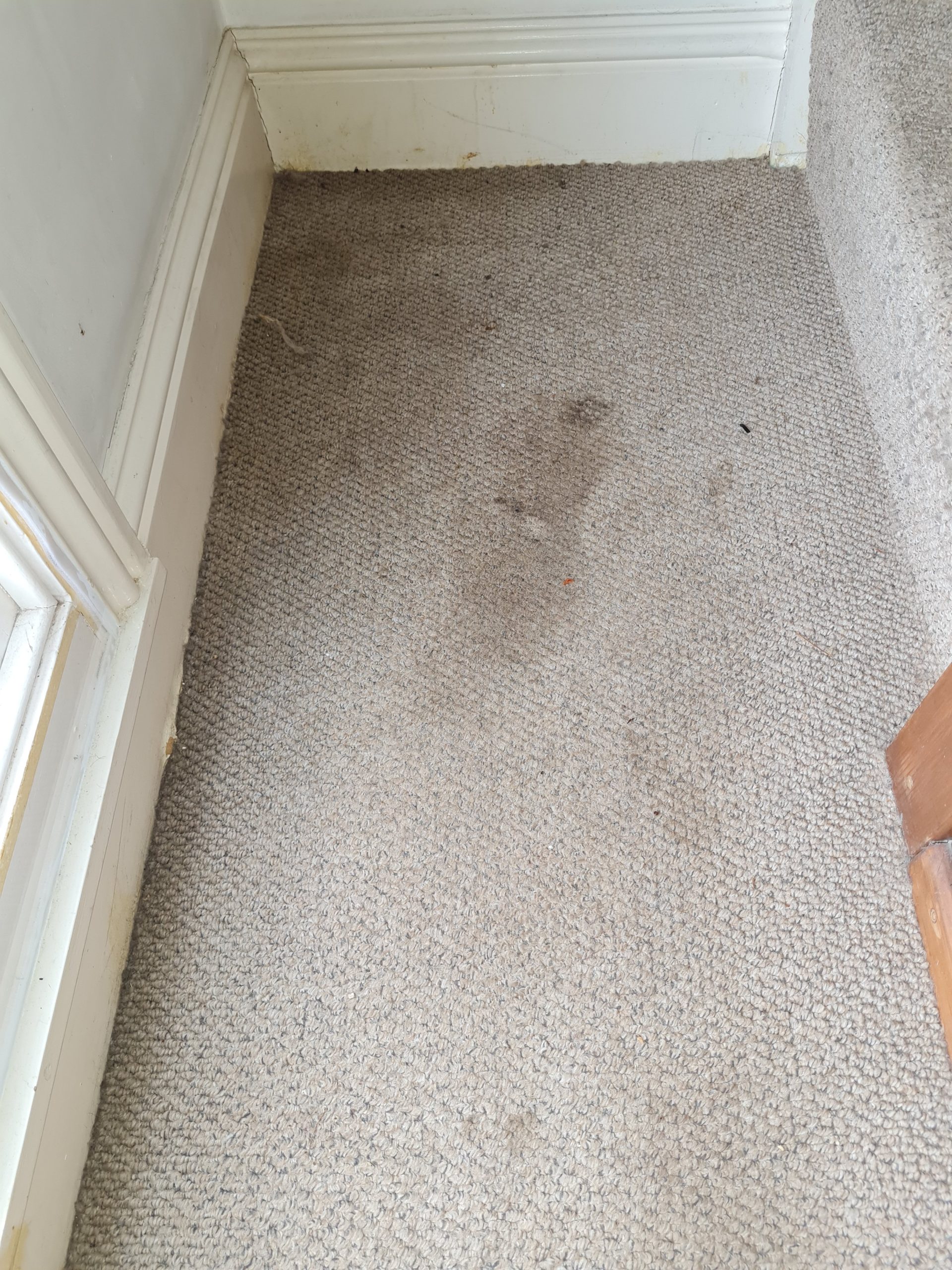 dirty hall carpet in Norwich house