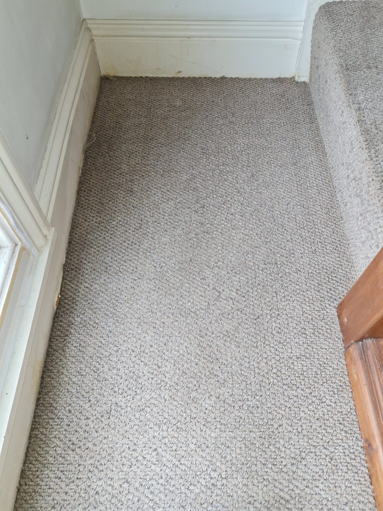 Hallway carpet after cleaning in Norwich house