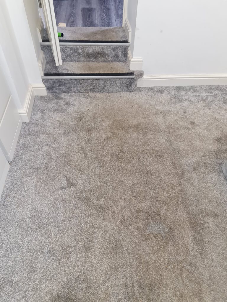 Dirty bedroom carpet in Norwich house