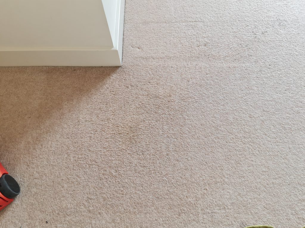 carpet without stain in Norwich house